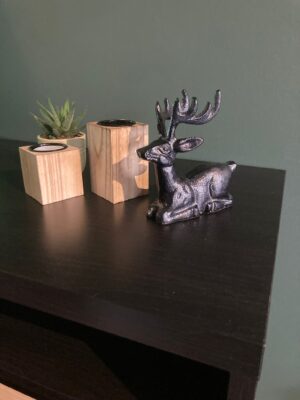 Chalet 39 Decoratie